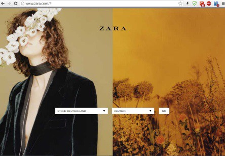 zara online account