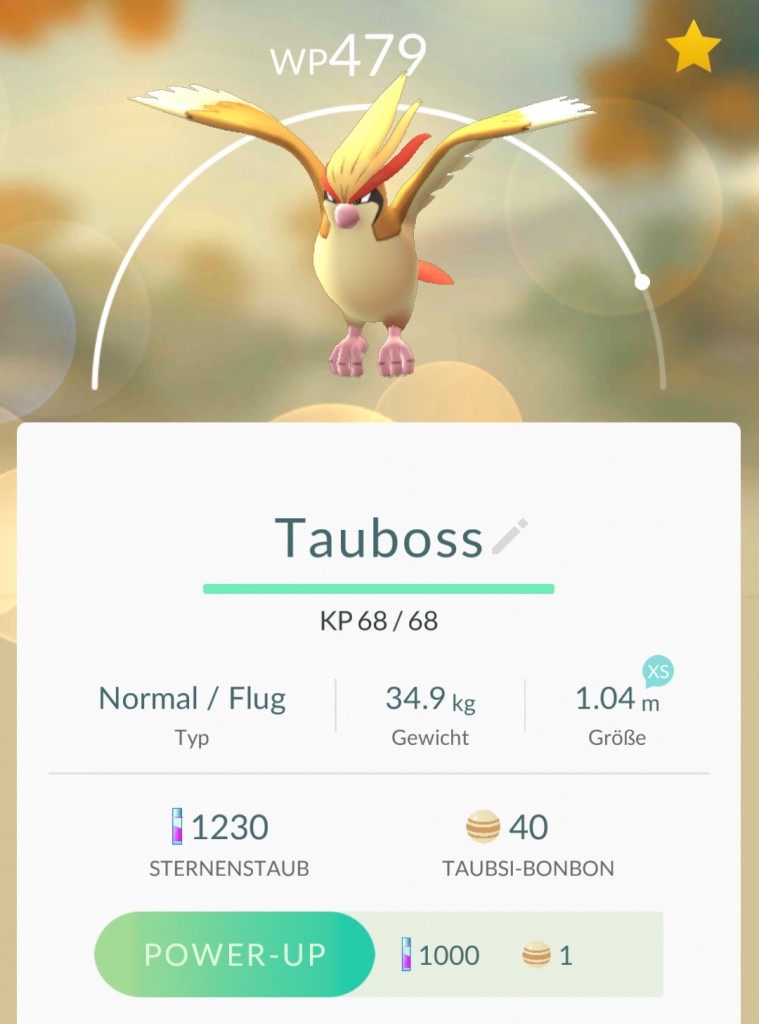 Pokemon Go Xl And Xs Importance And Info