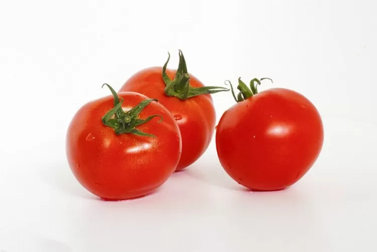 Tomato varieties: The 8 best at a glance