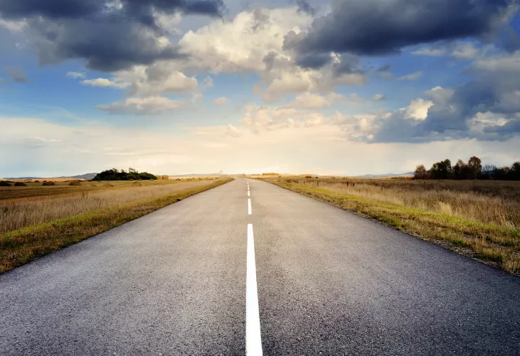 Road salt against weeds: what you need to know