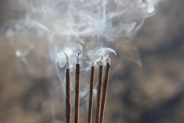 Use incense sticks against mosquitoes: the best tips