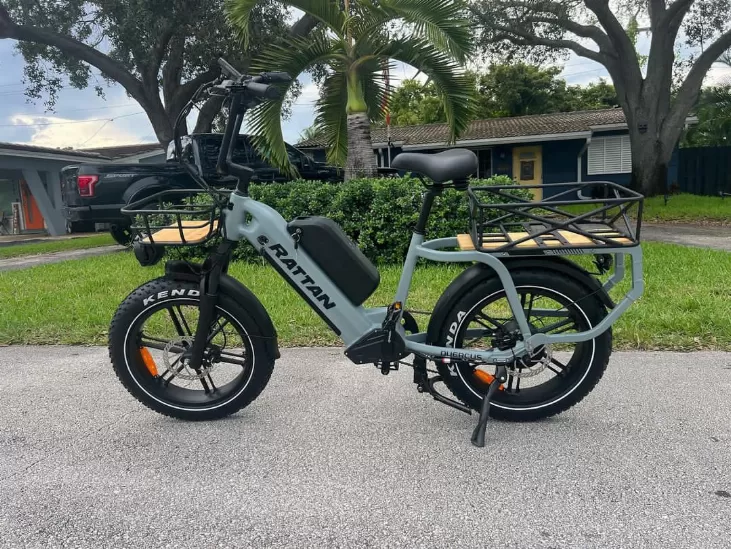 Rattan Quercus (cargo) eBike