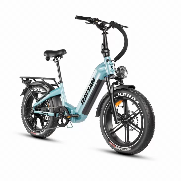 Pinus Rattan eBike whith Dual Battery