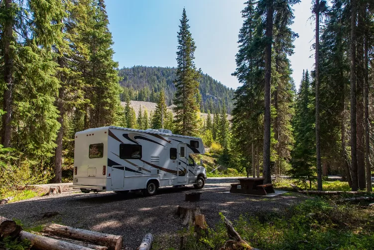 Enhance Your RV Experience with Filluck RV Door Window Shades