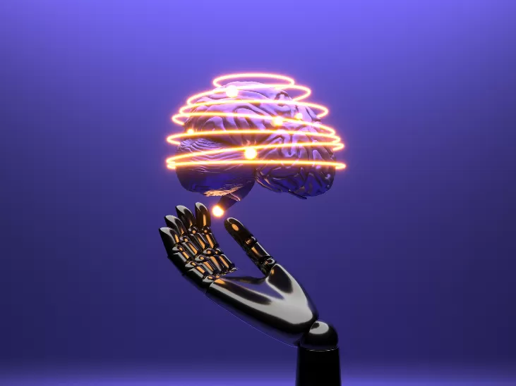 Challenges and Pitfalls in Machine Learning Development