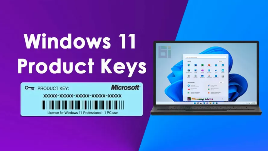 Safe Ways to Purchase Windows 11 Pro: A Guide to Buying and Verifying Licenses