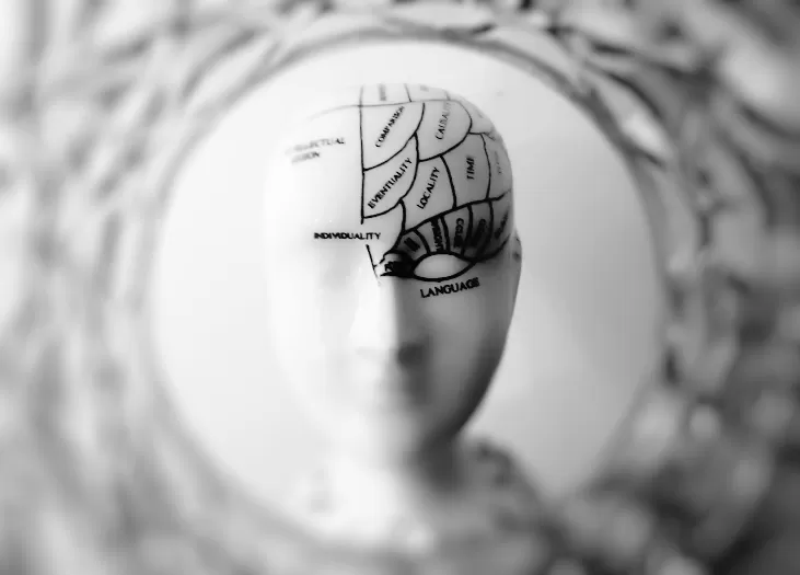 Top 5 Apps for Brain Training and Cognitive Enhancement
